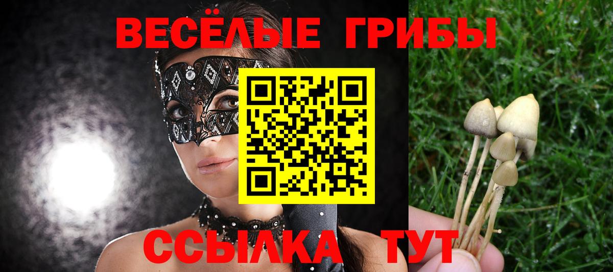 Галлюциногенные грибы Psilocybe  Вход с VPN  Георгиевск 